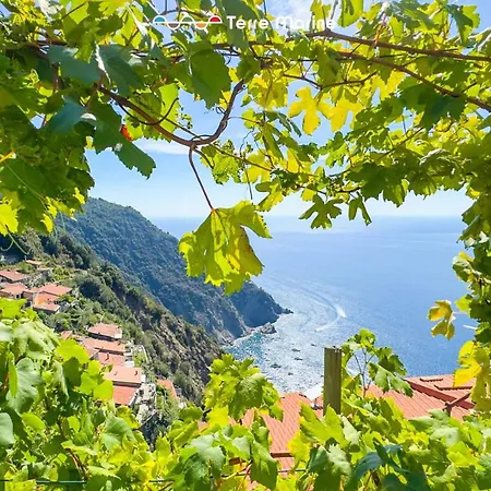 Altamare 5 Terre, Terre Marine *
